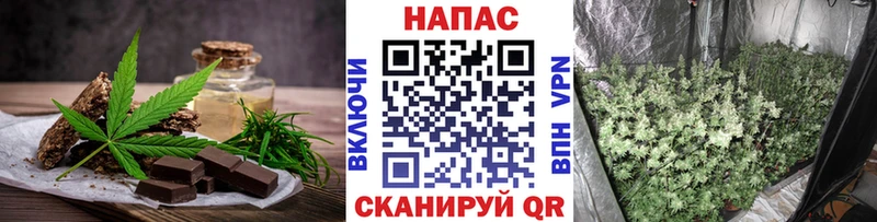 купить наркотики сайты  Славгород  Печенье с ТГК марихуана 