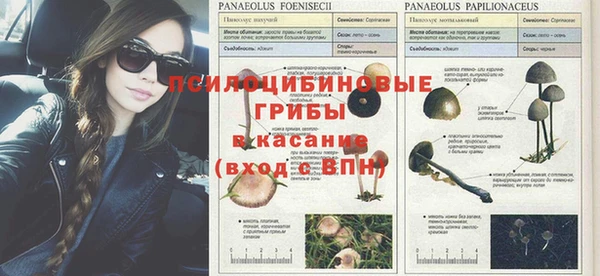 соль курить ск Беломорск