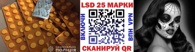дарнет шоп  Славгород  LSD-25 экстази ecstasy 