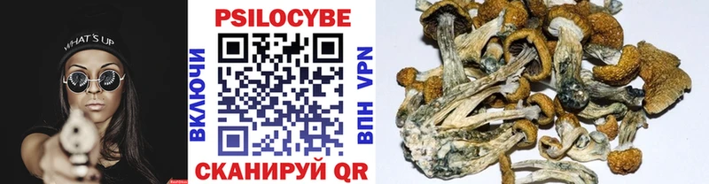 купить наркотики цена  Славгород  Псилоцибиновые грибы мухоморы 