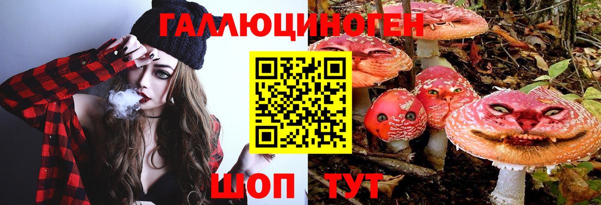 Псилоцибиновые грибы Psilocybine cubensis  Вход с VPN  Галлюциногенные грибы GOLDEN TEACHER  продажа наркотиков  Славгород 