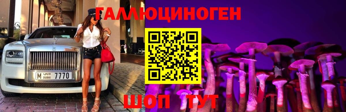 Псилоцибиновые грибы Psilocybine cubensis Славгород